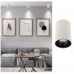 Faretto led da soffitto 20W cilindro bianco in alluminio plafoniera lampada moderna luce calda naturale fredda