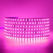 Striscia LED 220V IP65 Alta Luminosità, Senza Spina o Alimentatore, Illuminazione Diretta per Esterno, Facile da Installare
