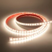 Striscia LED 220V IP65 Alta Luminosità, Senza Spina o Alimentatore, Illuminazione Diretta per Esterno, Facile da Installare
