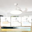 Lampadario con ventilatore led 40W controllo a distanza telecomando luce dimmerabile calda naturale bianca 3 velocità