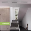 Faretto faro barra led 20W bianco per binario monofase orientabile proiettore luce naturale bianca calda